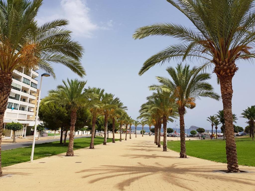 Appartement Cala De Benidorm Holidays *